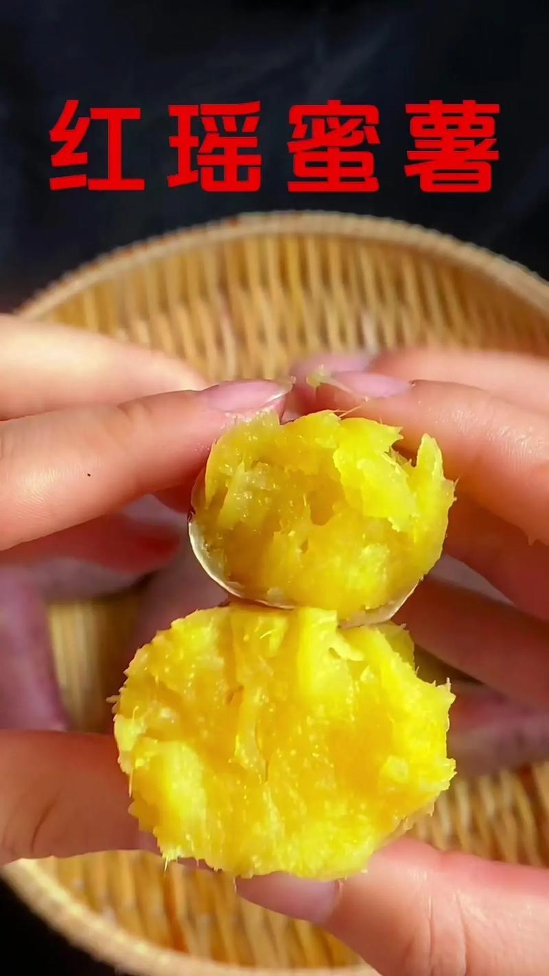 红瑶蜜薯榴莲蜜薯河北精品红薯产地直发品种齐全