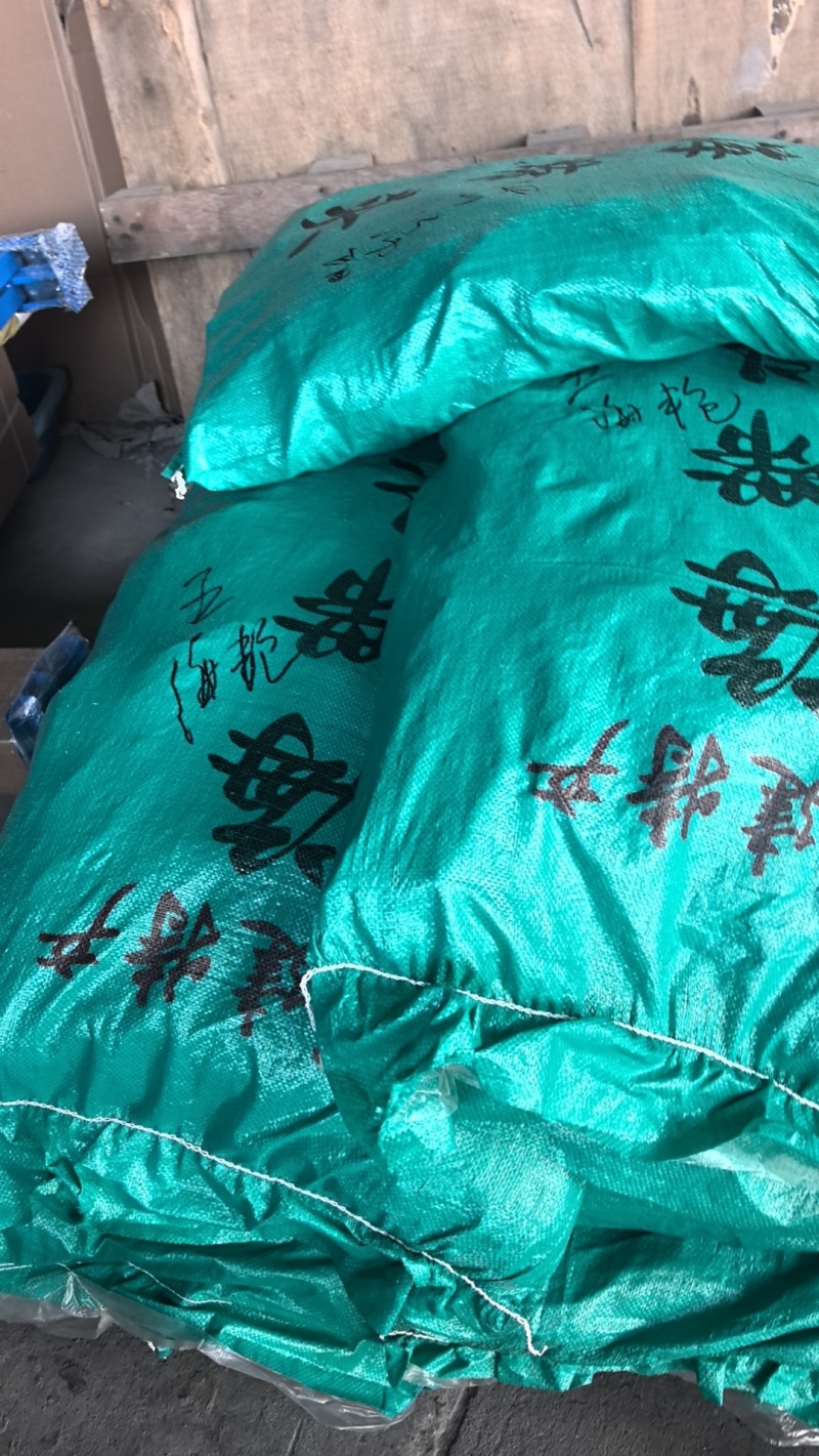 福建霞浦精品大叶海带头40公分干货天然挂晒无沙无泥商用