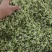 鲜韭菜花韭花货源充足量大从优价格实惠欢迎联系