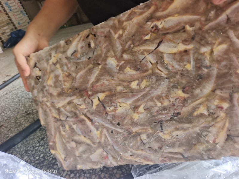 山东威海三去黄花鱼20斤板