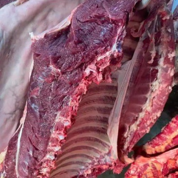 新疆原切马肉