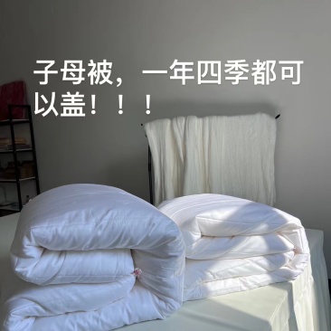 桑蚕丝被