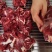 广西河池大化县小黄牛肉1斤装3斤装5斤装都可以大货