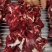 广西河池大化县小黄牛肉1斤装3斤装5斤装都可以大货