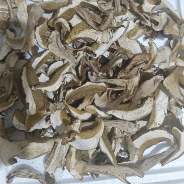 南华县季节野生菌，牛肝菌干货可长年保存，精品批发