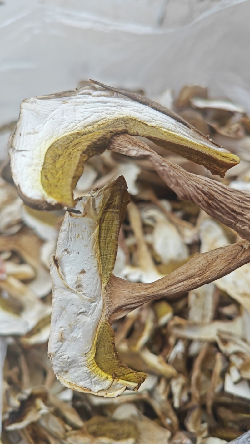 南华县季节野生菌，牛肝菌干货可长年保存，精品批发