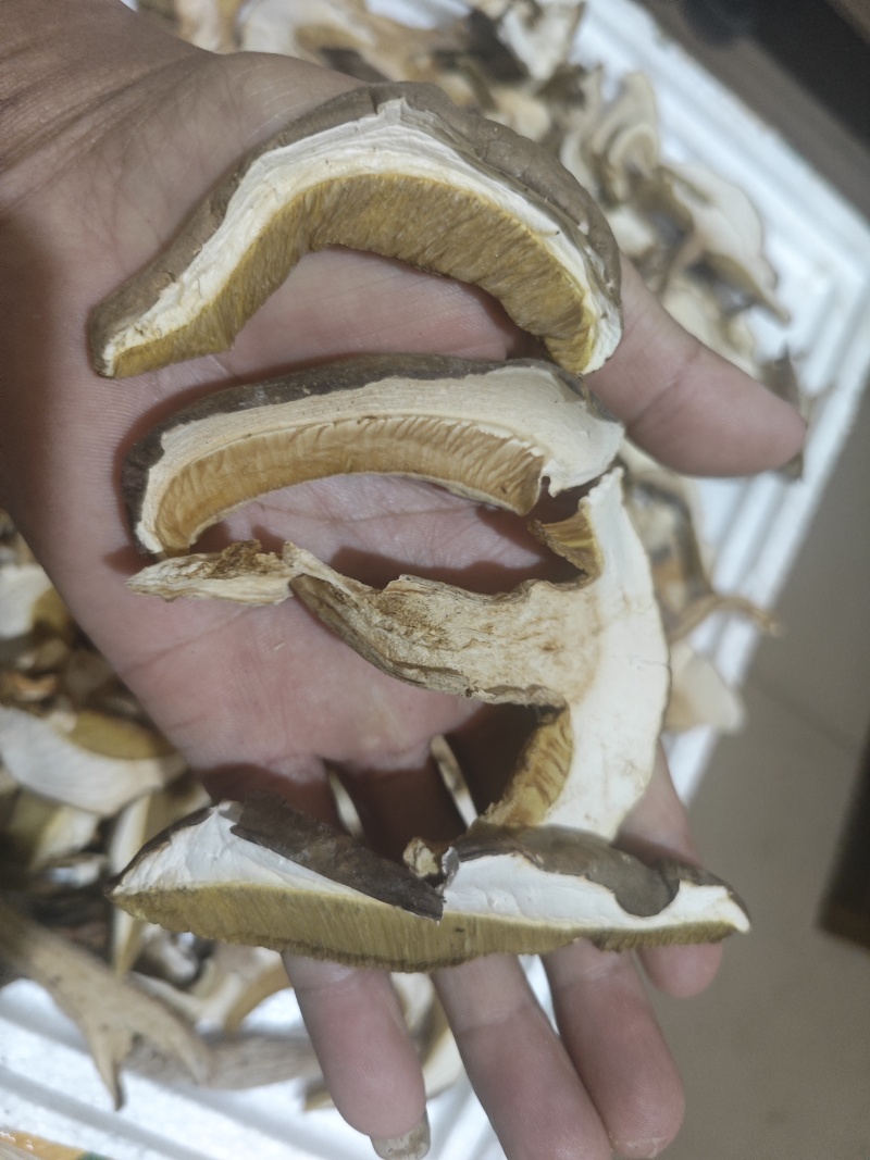 南华县季节野生菌，牛肝菌干货可长年保存，精品批发