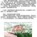 黑麦草种子厂家发货一手货源批发品质保证价格便宜欢迎咨询