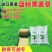 蓝标矮生黑麦草草坪种子多年生护坡草坪厂家批发