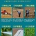 蓝标矮生黑麦草草坪种子多年生护坡草坪厂家批发