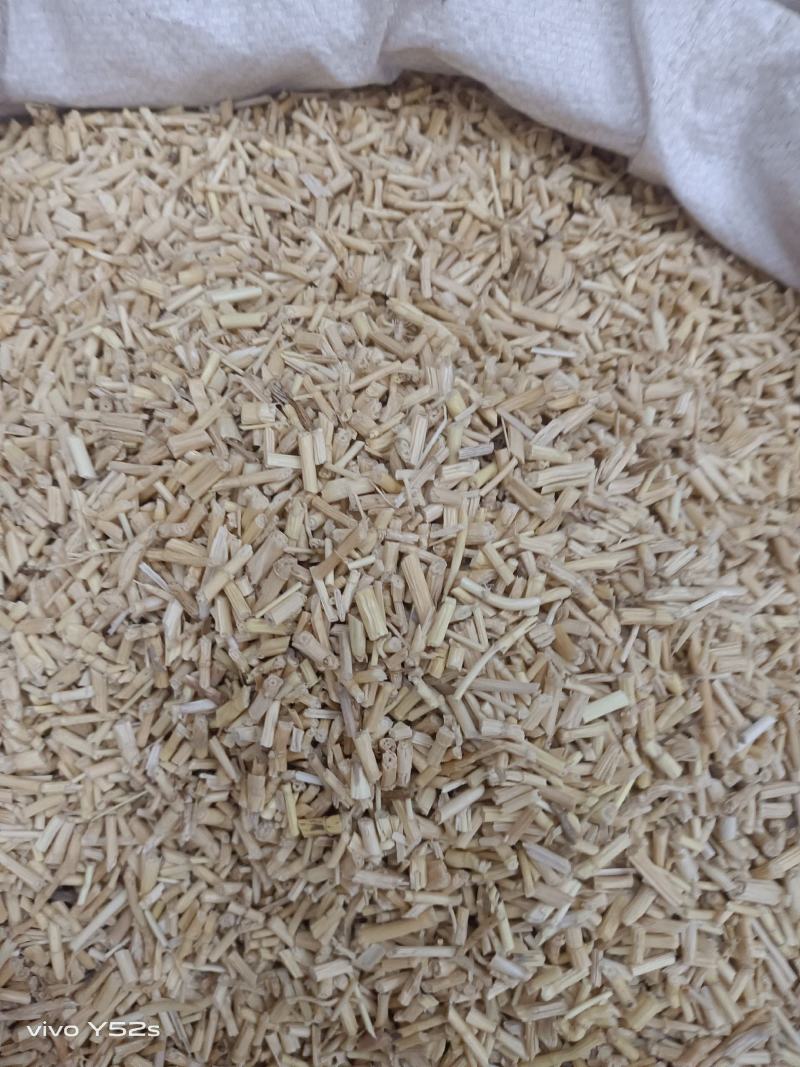白毛根水洗优质白毛根干品，一手货源产地直发