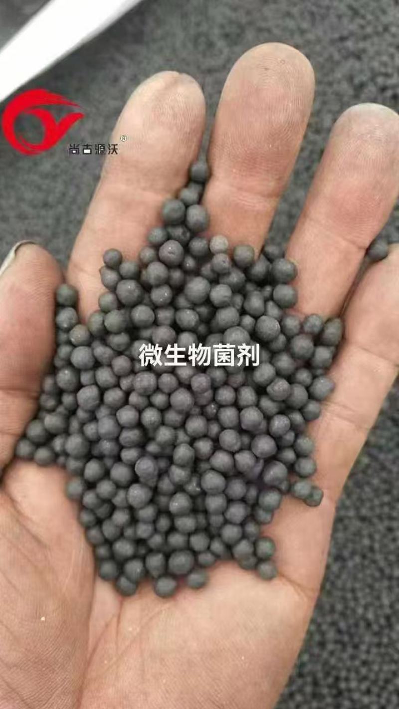 氨基酸微生物菌剂，氨基酸微生物菌剂颗粒