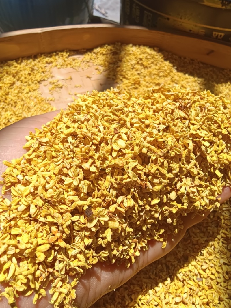 桂花干，厂家直发，大量有货，可视频看货，支持一件代发