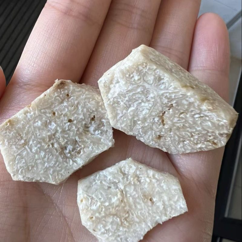 专业白松露猎人，出售白松露