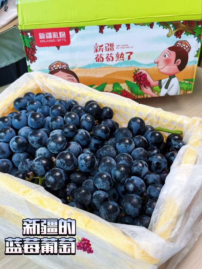 新疆博乐蓝莓葡萄