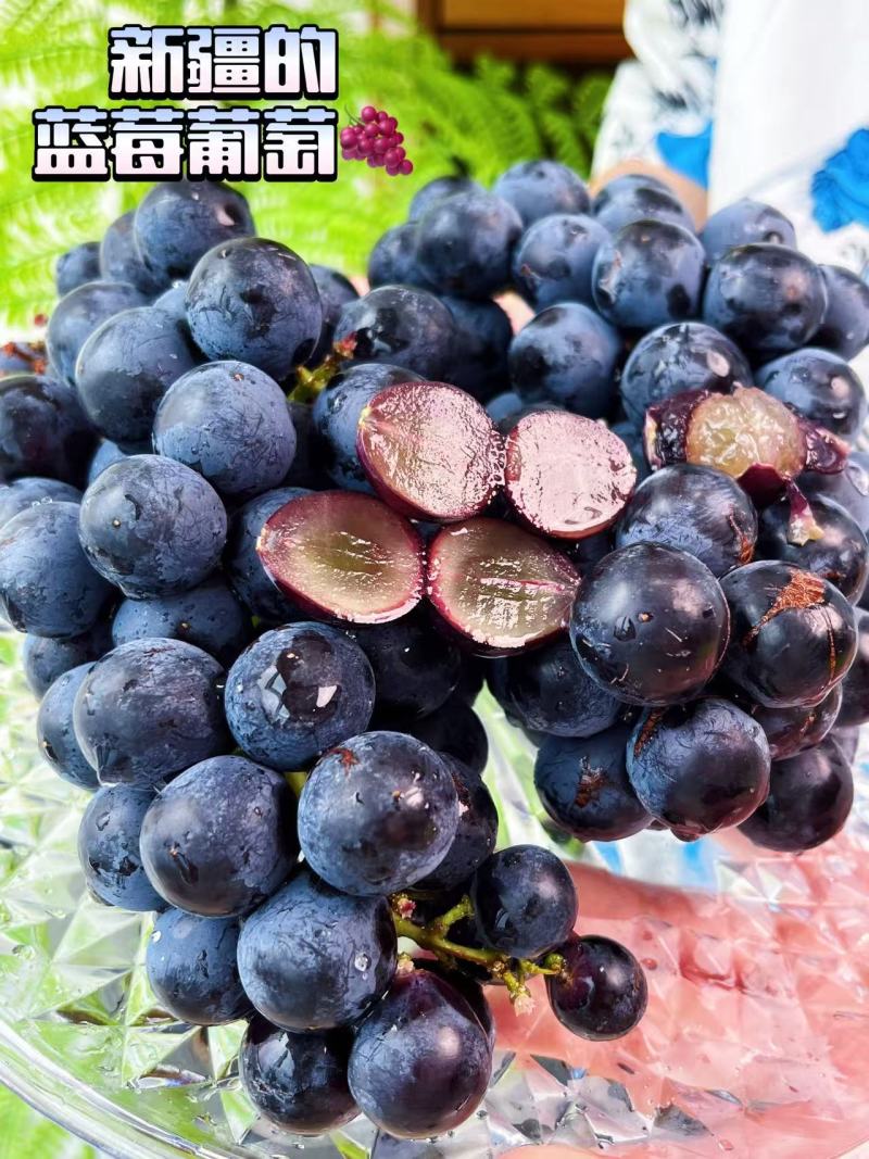 新疆博乐蓝莓葡萄