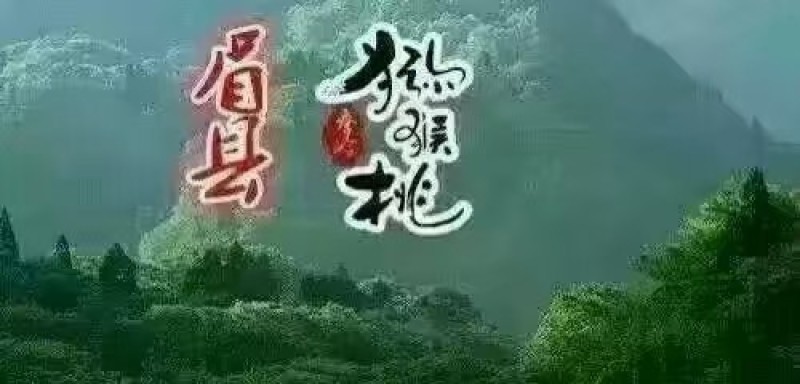 一件代发10斤装徐香猕猴桃基地一手货源现摘现发