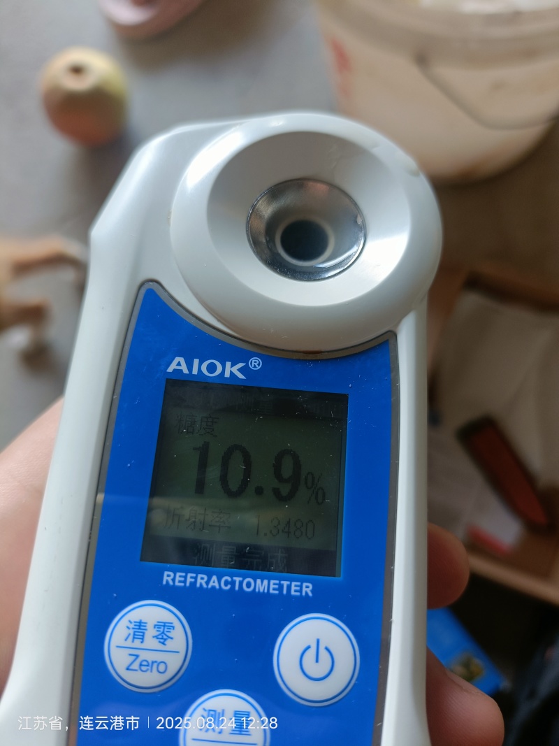 晚秋黄梨大量上市