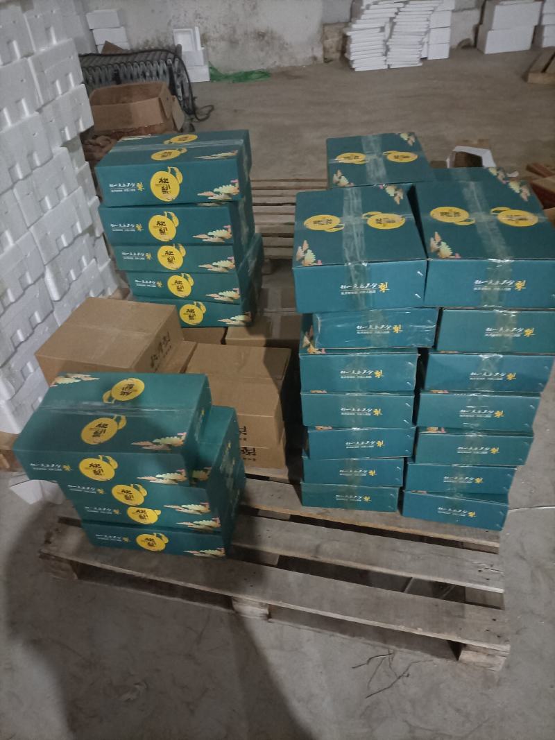 【精品】山东秋月梨品质保障产地直供对接全国批发电商商超
