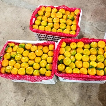 量大价格更美丽