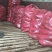 烟薯有各种品种大量有货，原产地产地直发全国各地发货