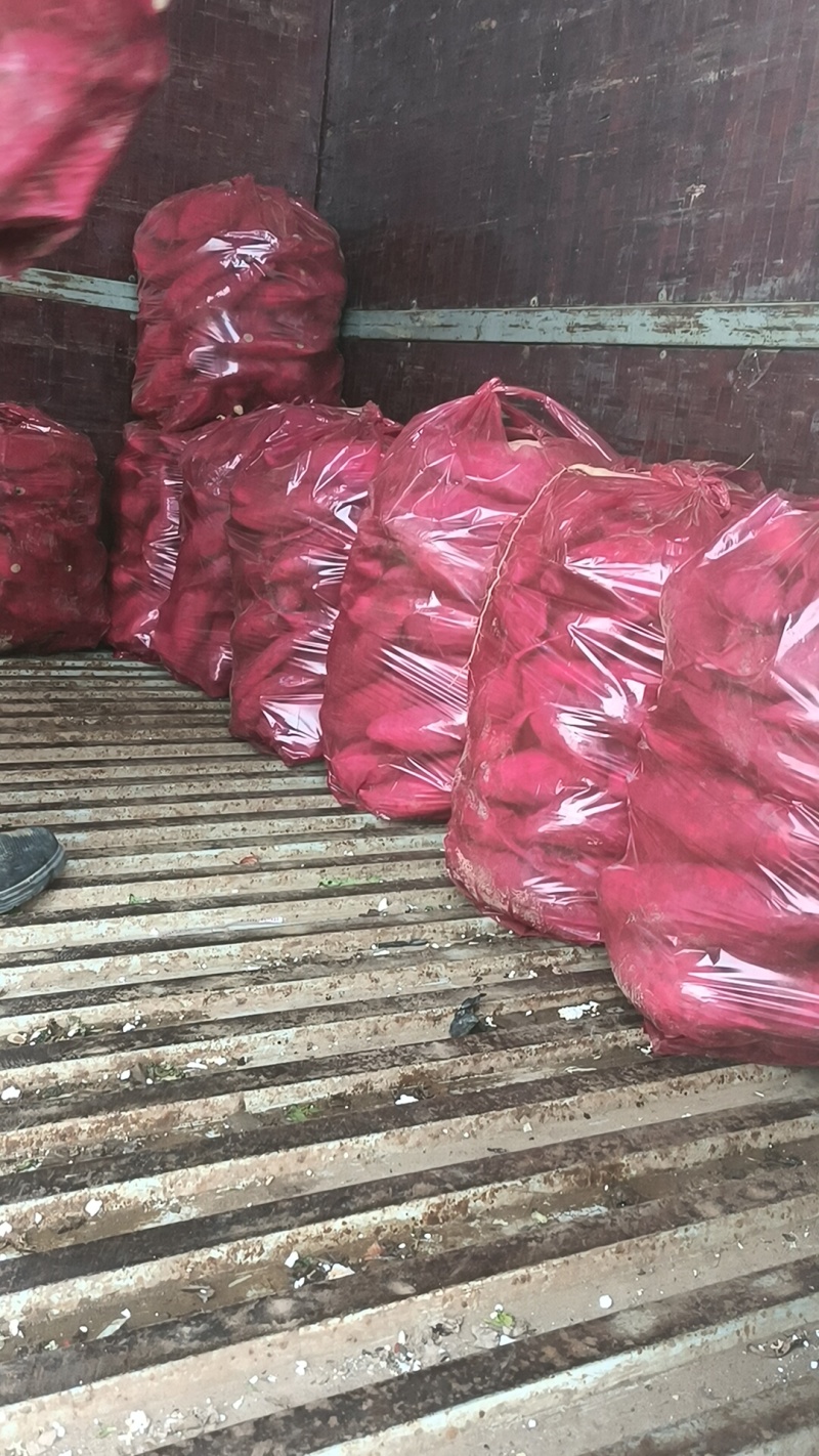 烟薯有各种品种大量有货，原产地产地直发全国各地发货