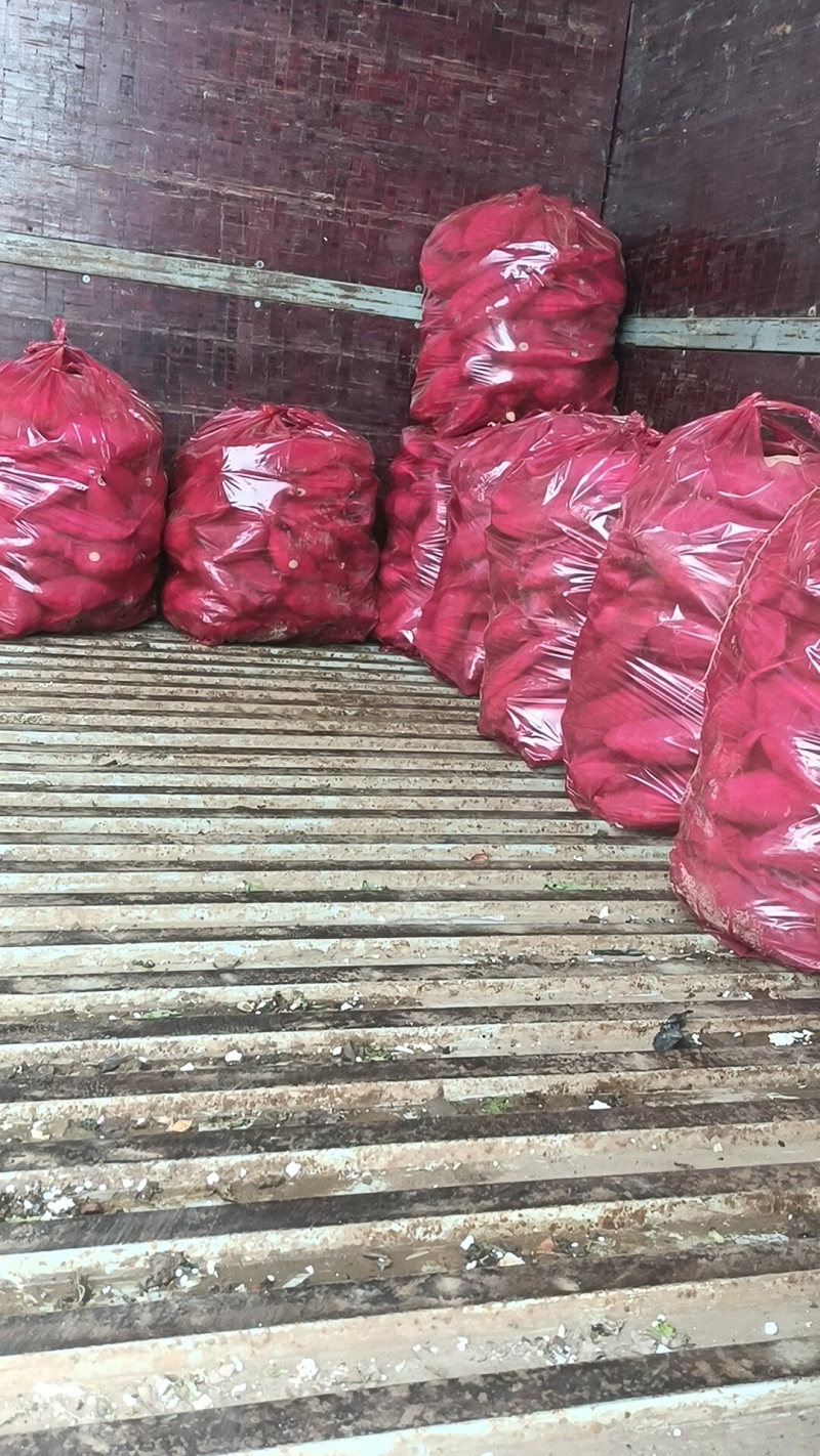 烟薯有各种品种大量有货，原产地产地直发全国各地发货