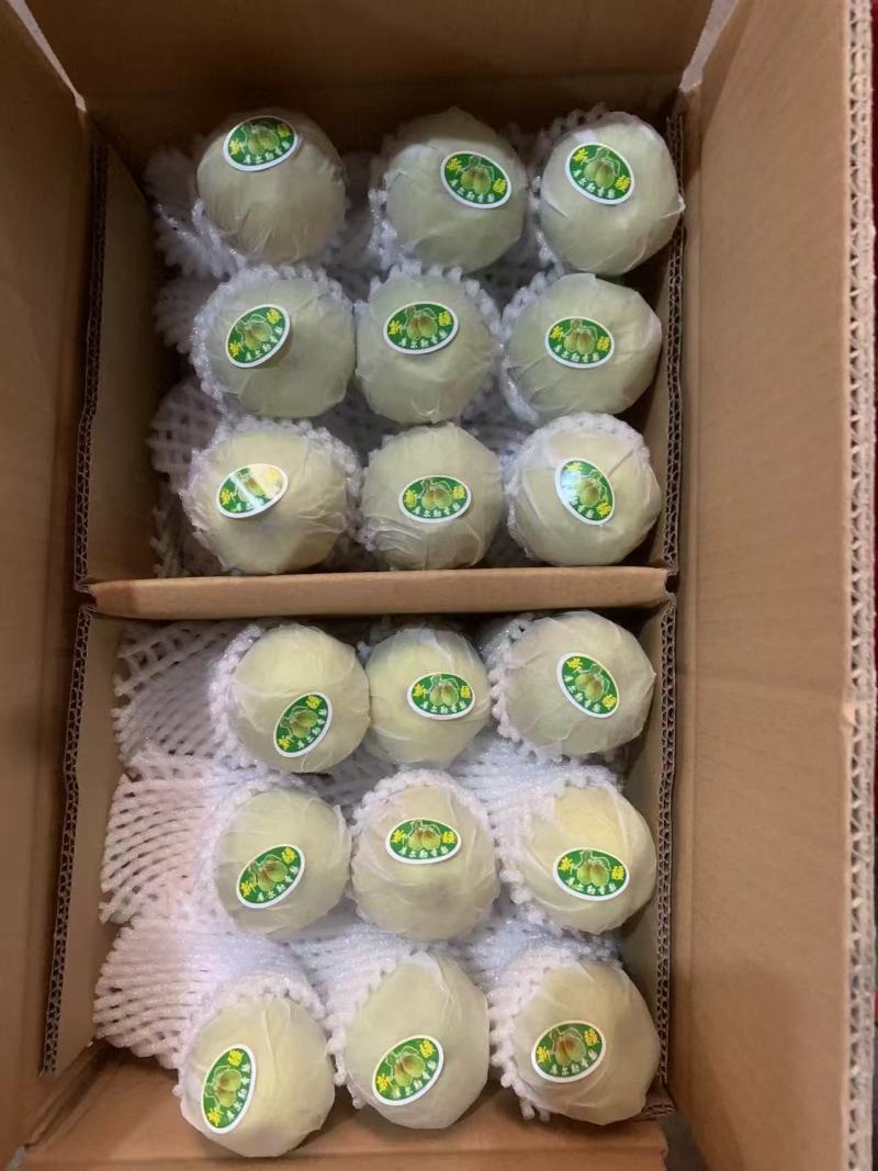 新疆阿克苏库尔勒香梨，皮薄肉厚口感好日照时间长，日夜温差大