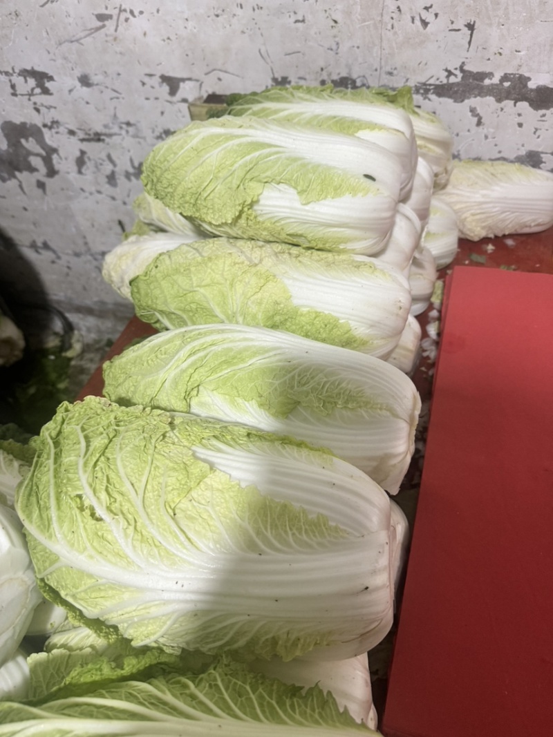 高山黄心白菜湖北白菜口感细腻鲜美品质保障对接全国