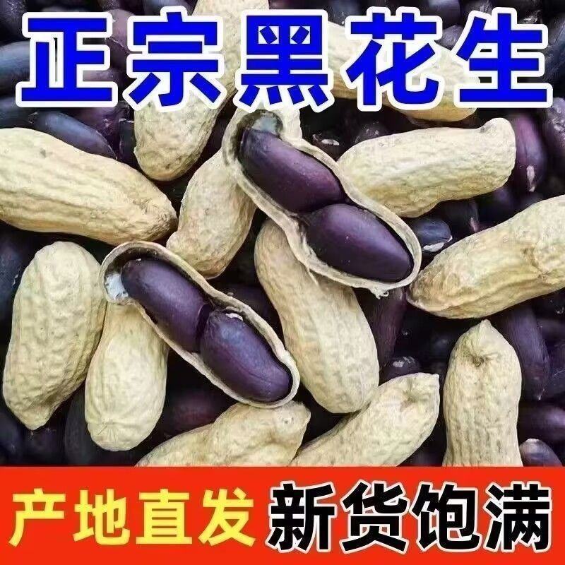 《畅销》河南黑花生基地直发保质保量一条龙服务量大从优