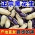 《畅销》河南黑花生基地直发保质保量一条龙服务量大从优