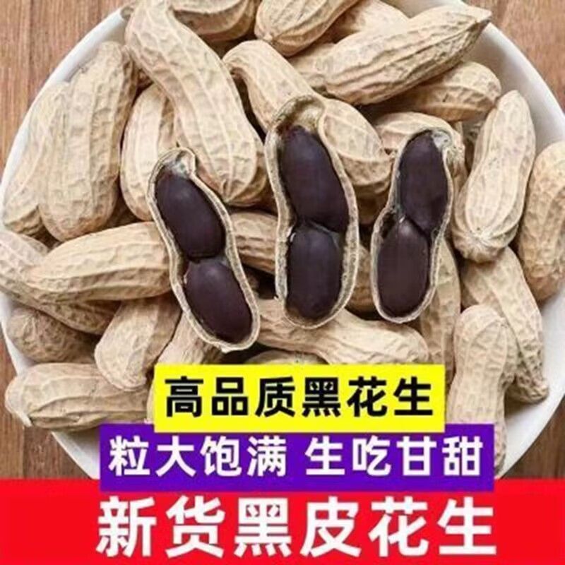 《畅销》河南黑花生基地直发保质保量一条龙服务量大从优