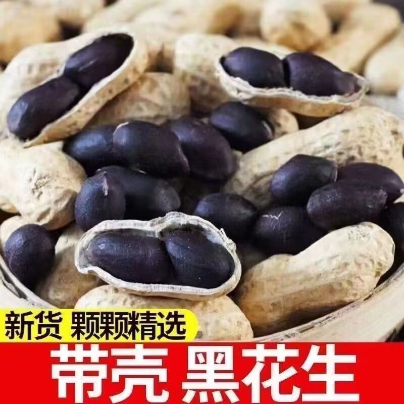 《畅销》河南黑花生基地直发保质保量一条龙服务量大从优