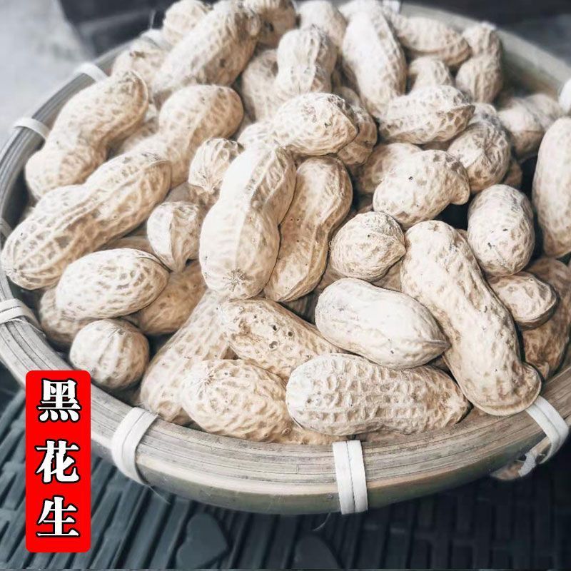 《畅销》河南黑花生基地直发保质保量一条龙服务量大从优