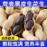 《畅销》河南黑花生基地直发保质保量一条龙服务量大从优