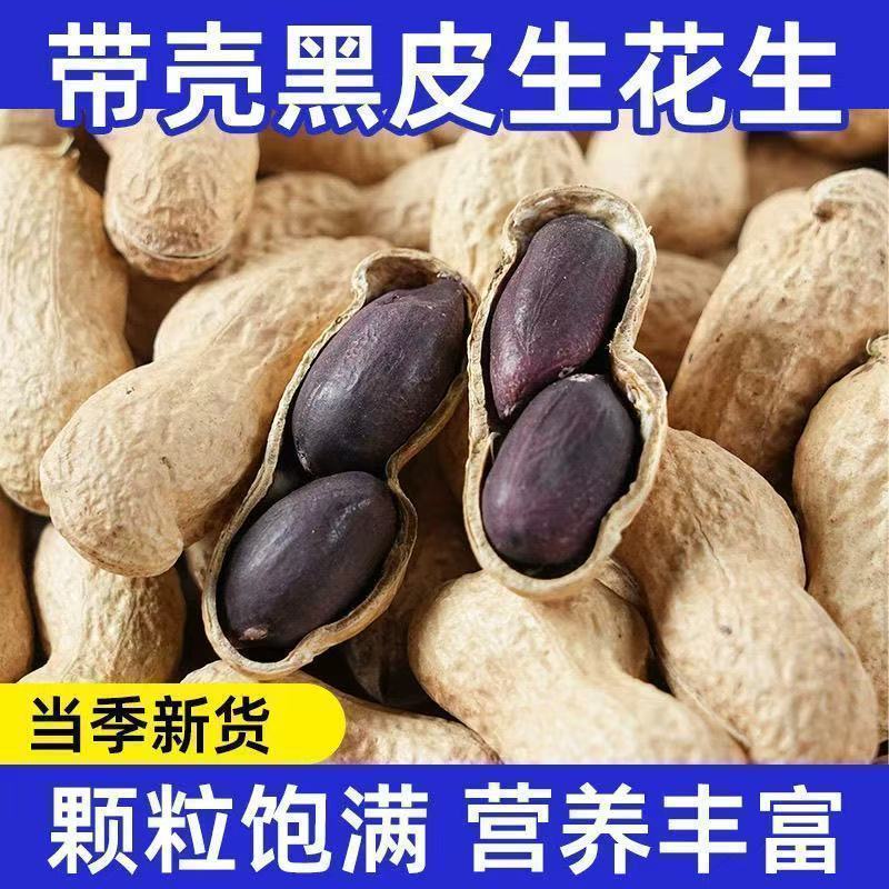 《畅销》河南黑花生基地直发保质保量一条龙服务量大从优