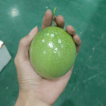 精品黄金百香果钦蜜九蜂蜜味纯甜壳硬皮薄果酱饱满