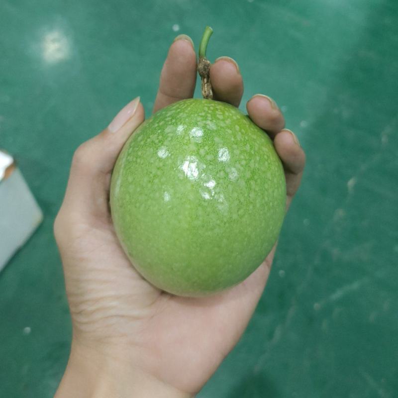精品黄金百香果钦蜜九蜂蜜味纯甜壳硬皮薄果酱饱满