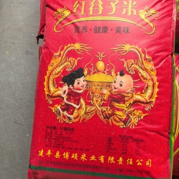 黄金苗，K1米