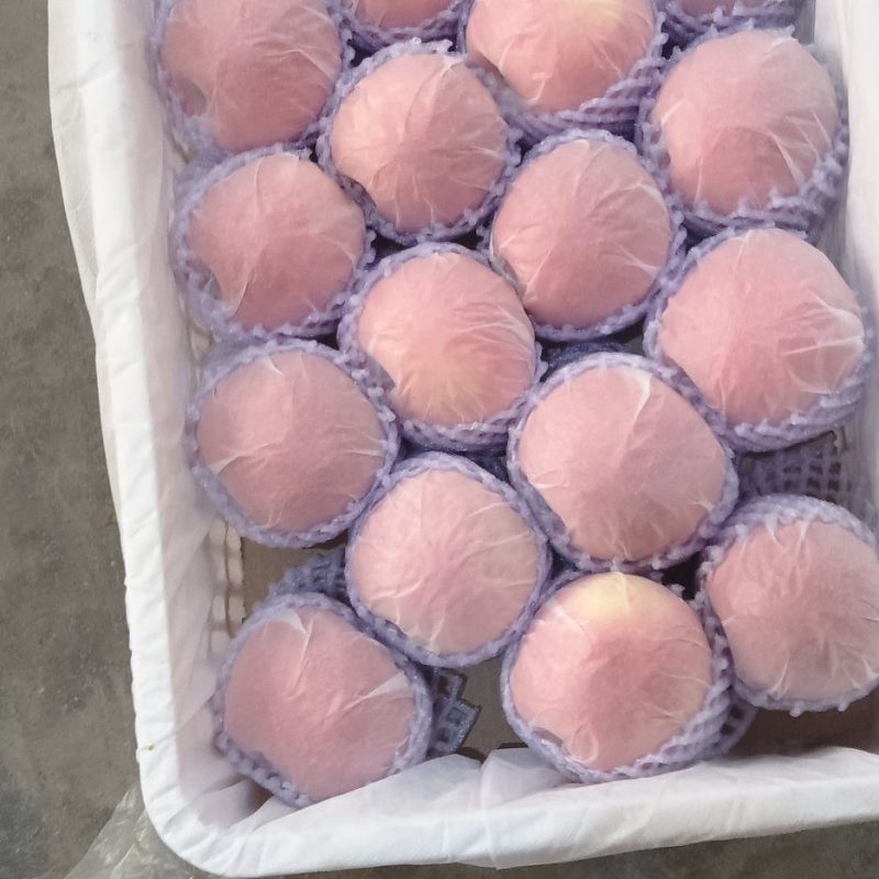新疆阿克苏冰糖心苹果