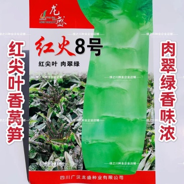 红火8号莴笋种子红尖叶香莴笋种籽耐寒春秋绿肉红叶莴苣种子