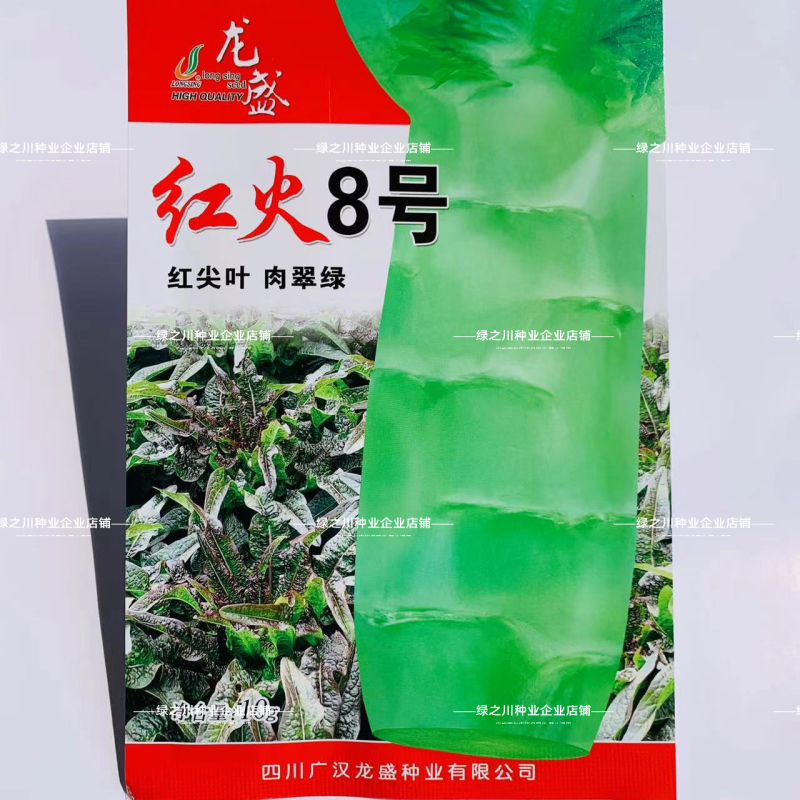 红火8号莴笋种子红尖叶香莴笋种籽耐寒春秋绿肉红叶莴苣种子