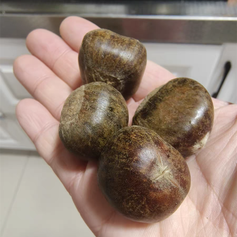 迁西板栗遵化板栗产地直发老树栗子3113