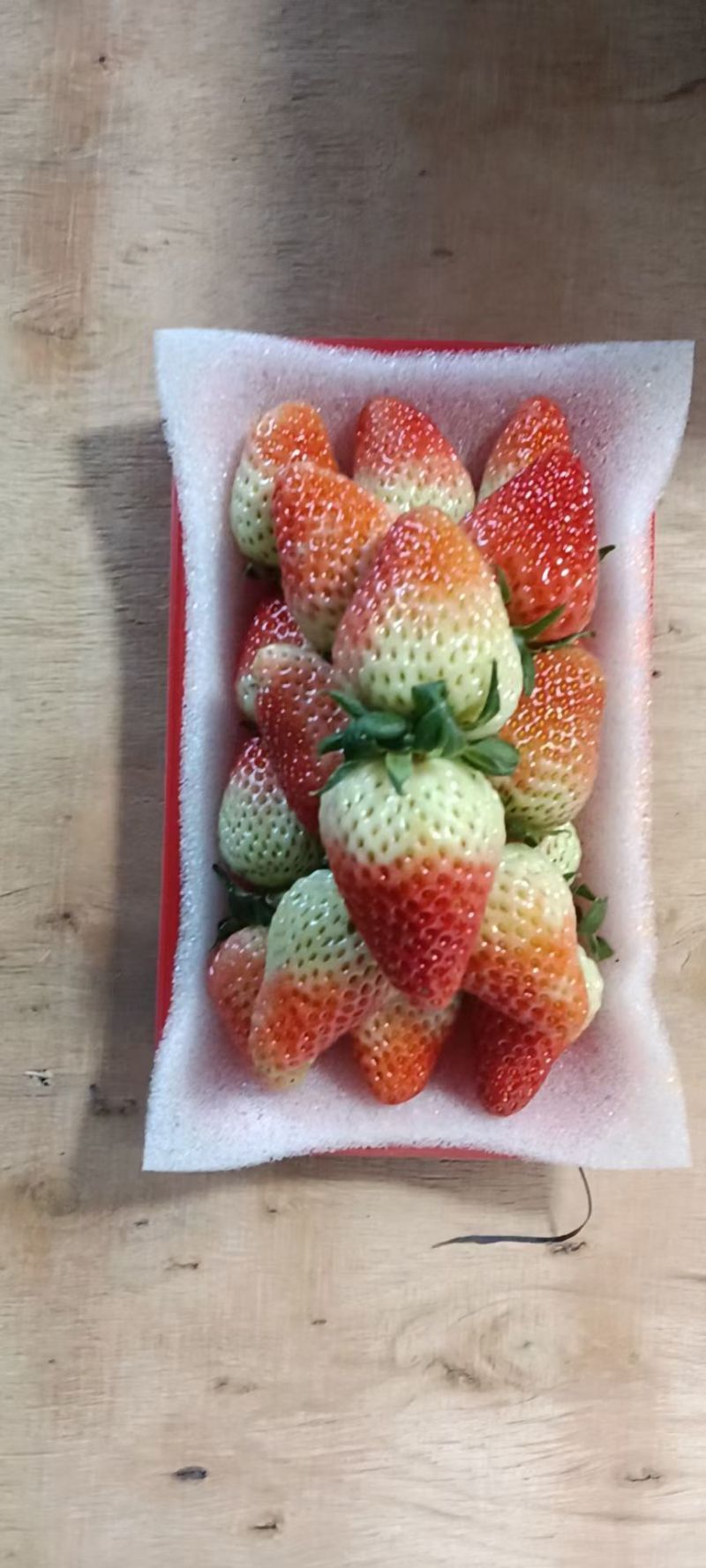 夏季草莓—价格随行就市