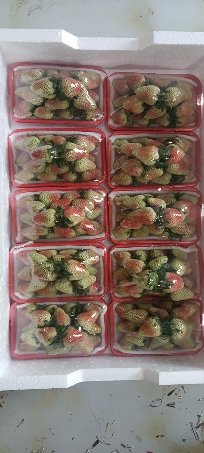夏季草莓—价格随行就市