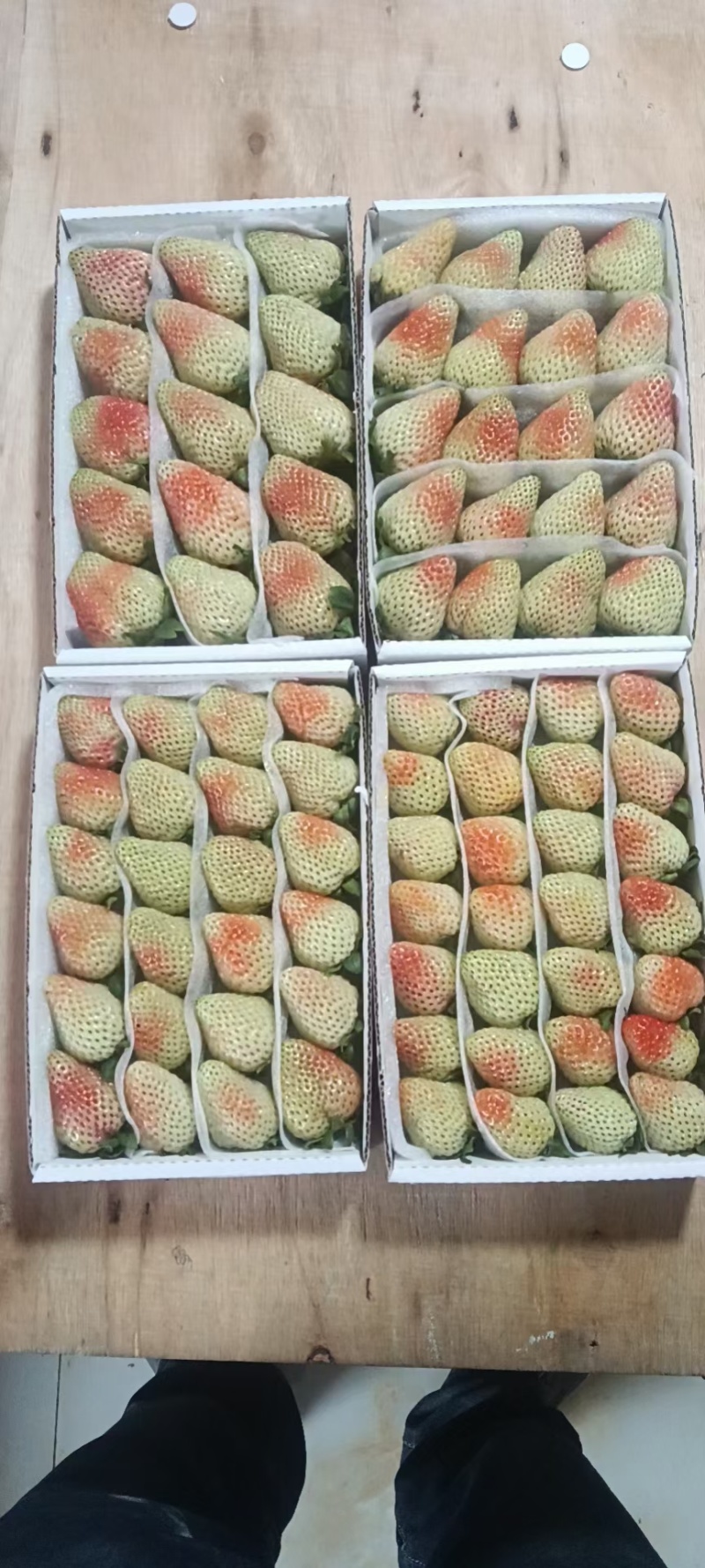 夏季草莓—价格随行就市
