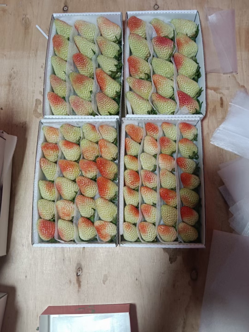夏季草莓—价格随行就市