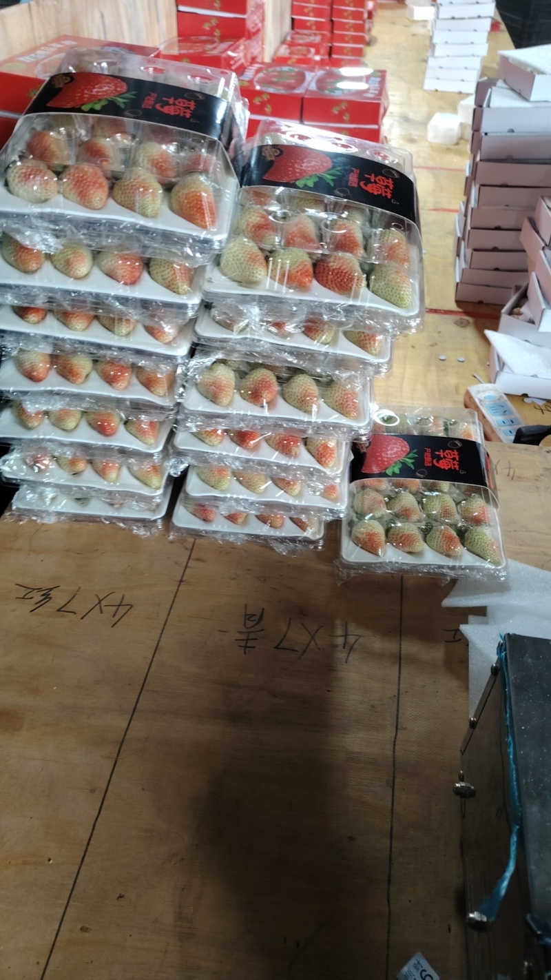 夏季草莓—价格随行就市