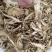 甘肃岷县无硫当归中药材正品有头当归真货当归干货当归片泡水