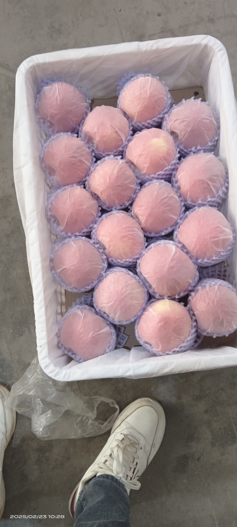 新疆阿克苏冰糖心苹果